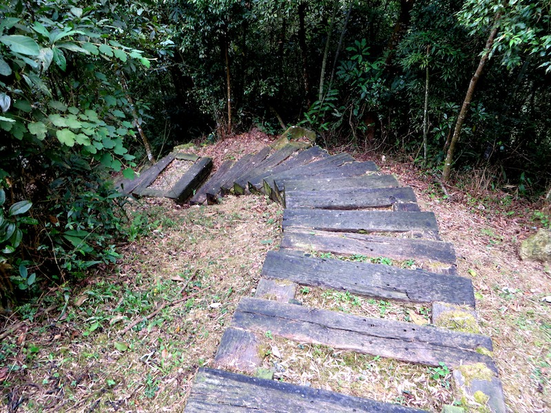步道一景-木製階梯
