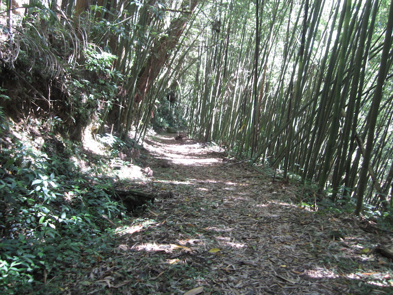 步道一景