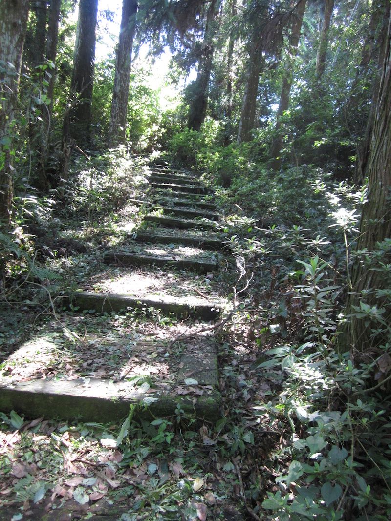 步道一景