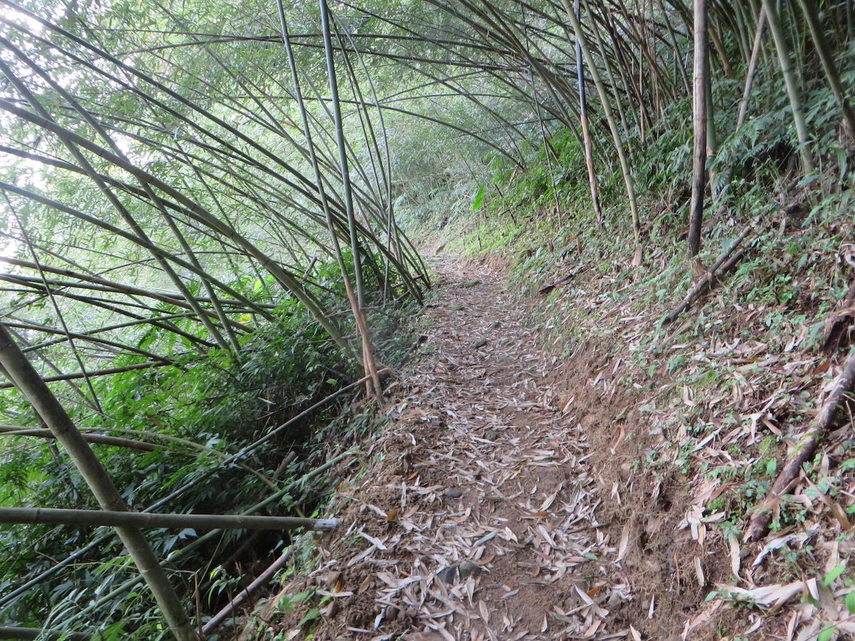 步道一景