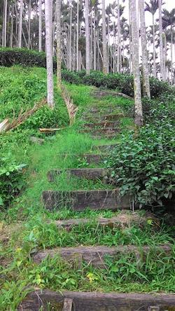 金獅古道