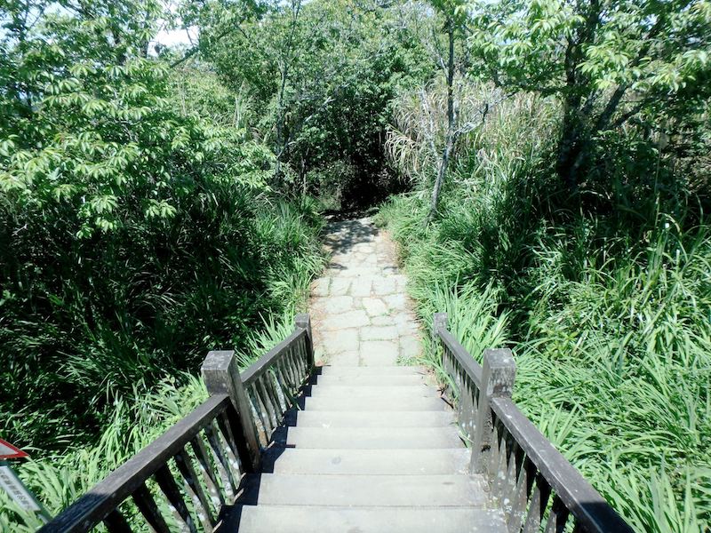 步道一景-階梯