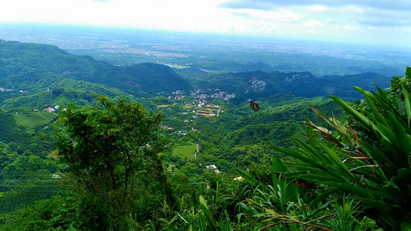 步道一景