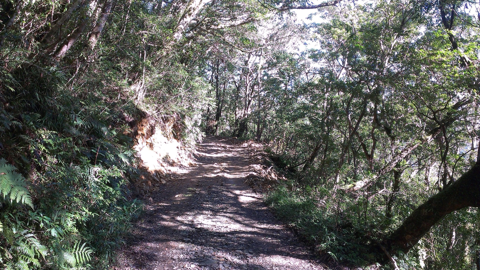 平整的步道一隅