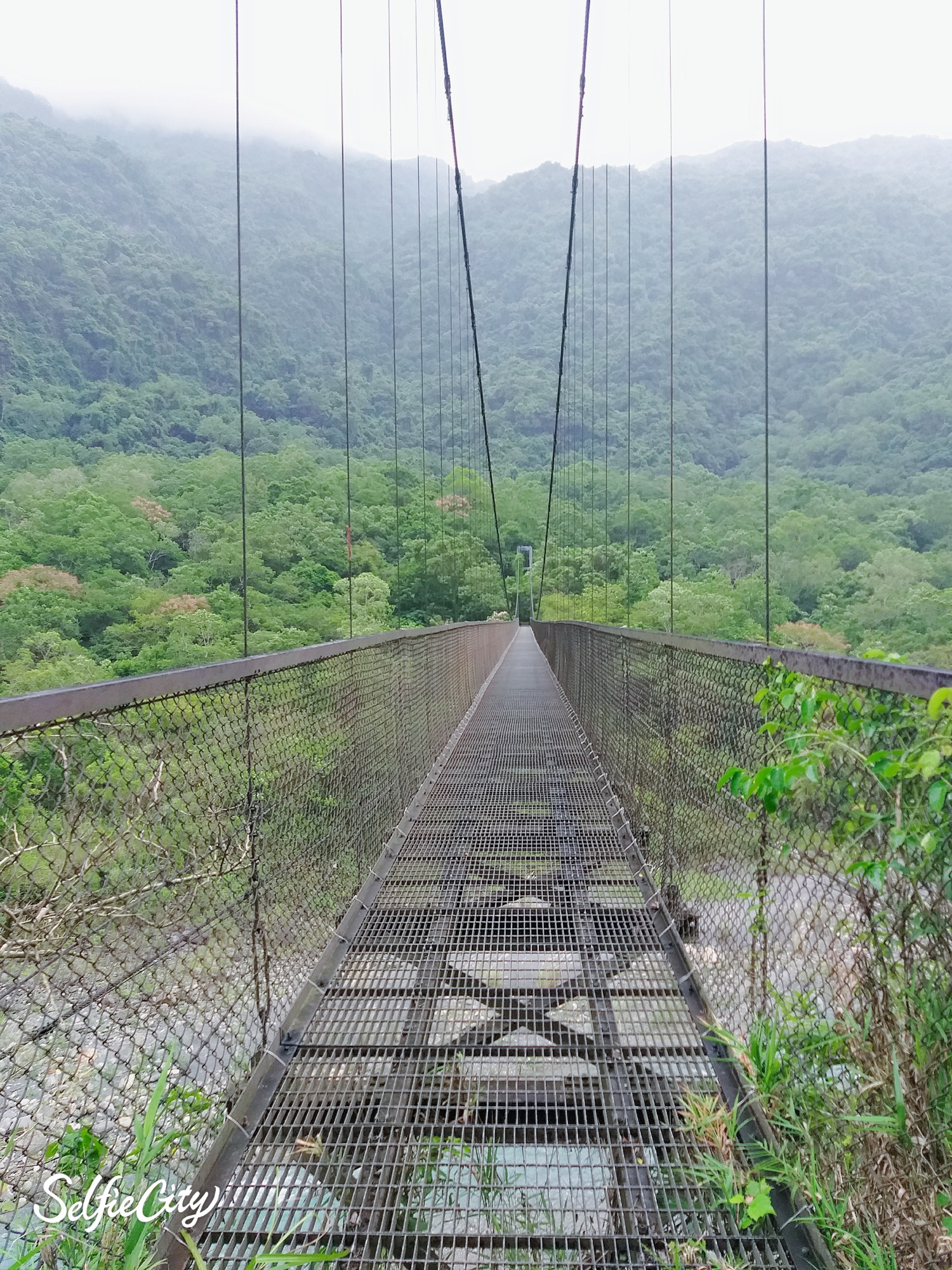 鹿鳴吊橋(祥凌)