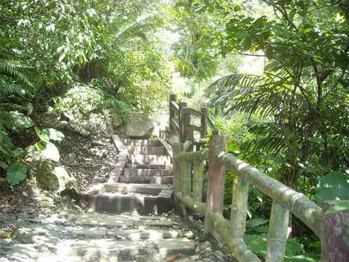綠意盎然的步道