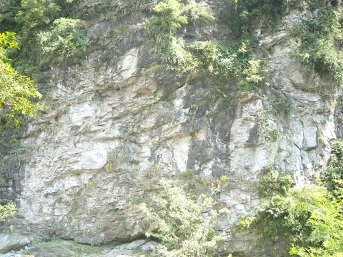 裸露的岩壁