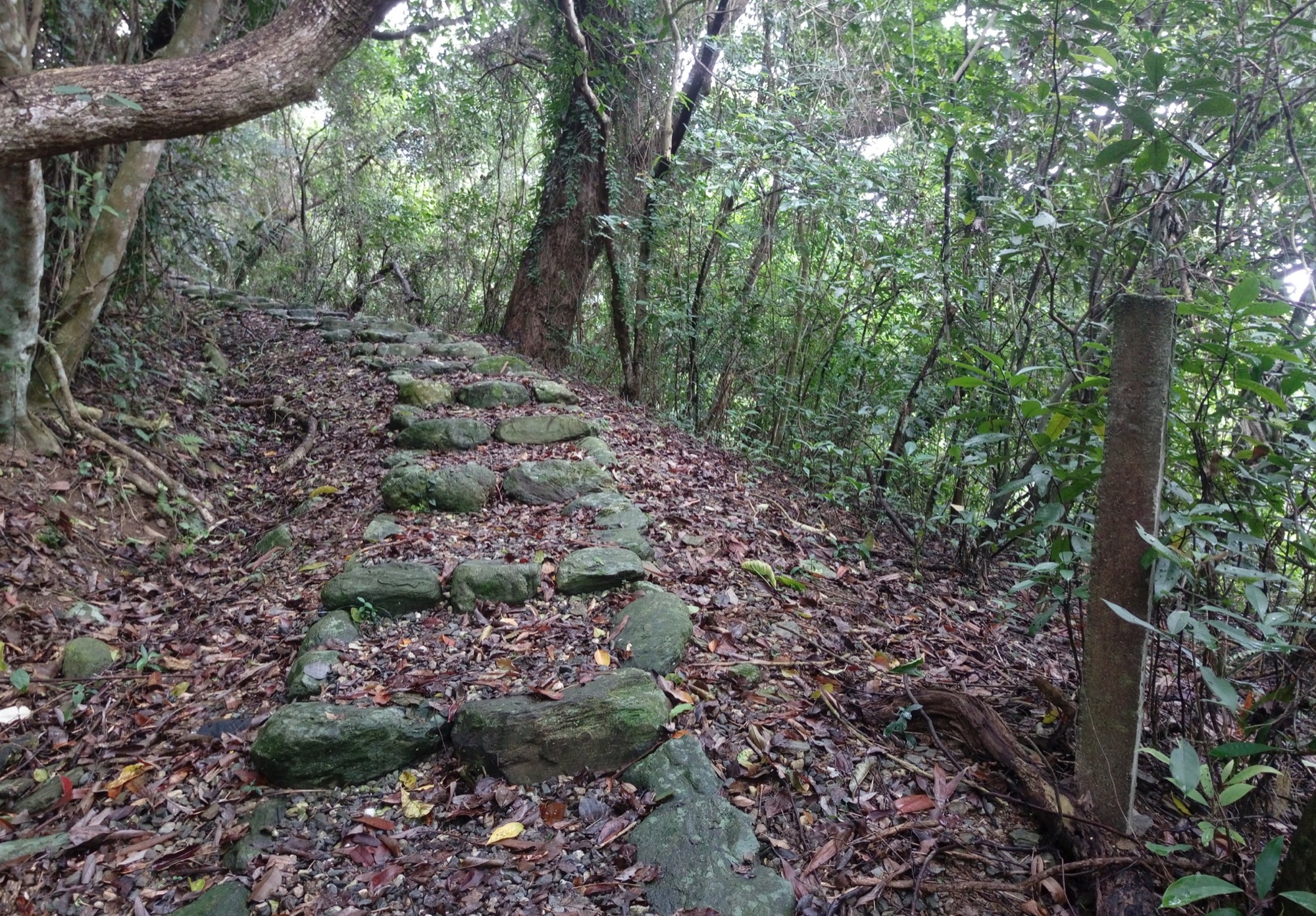 虎頭山步道階梯