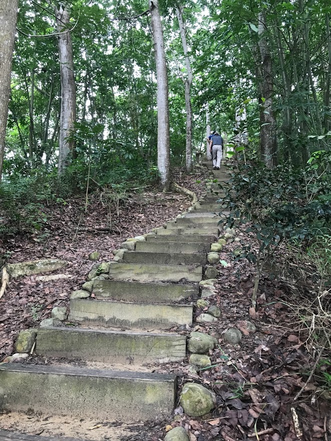 九九峰森林步道1許逸玫