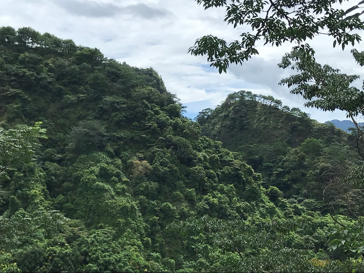 九九峰森林步道一景-大圖2