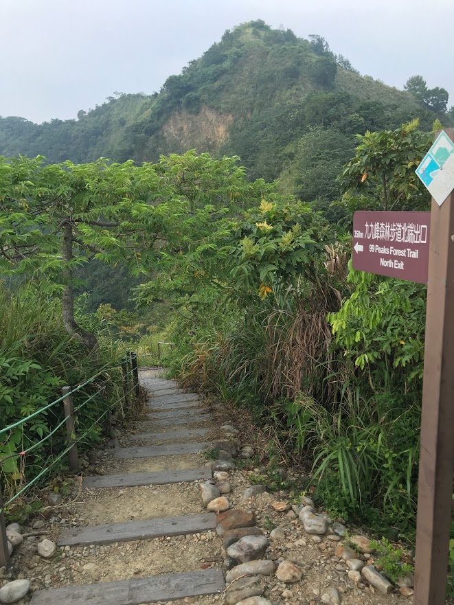 九九峰森林步道北端出口風景-大圖4