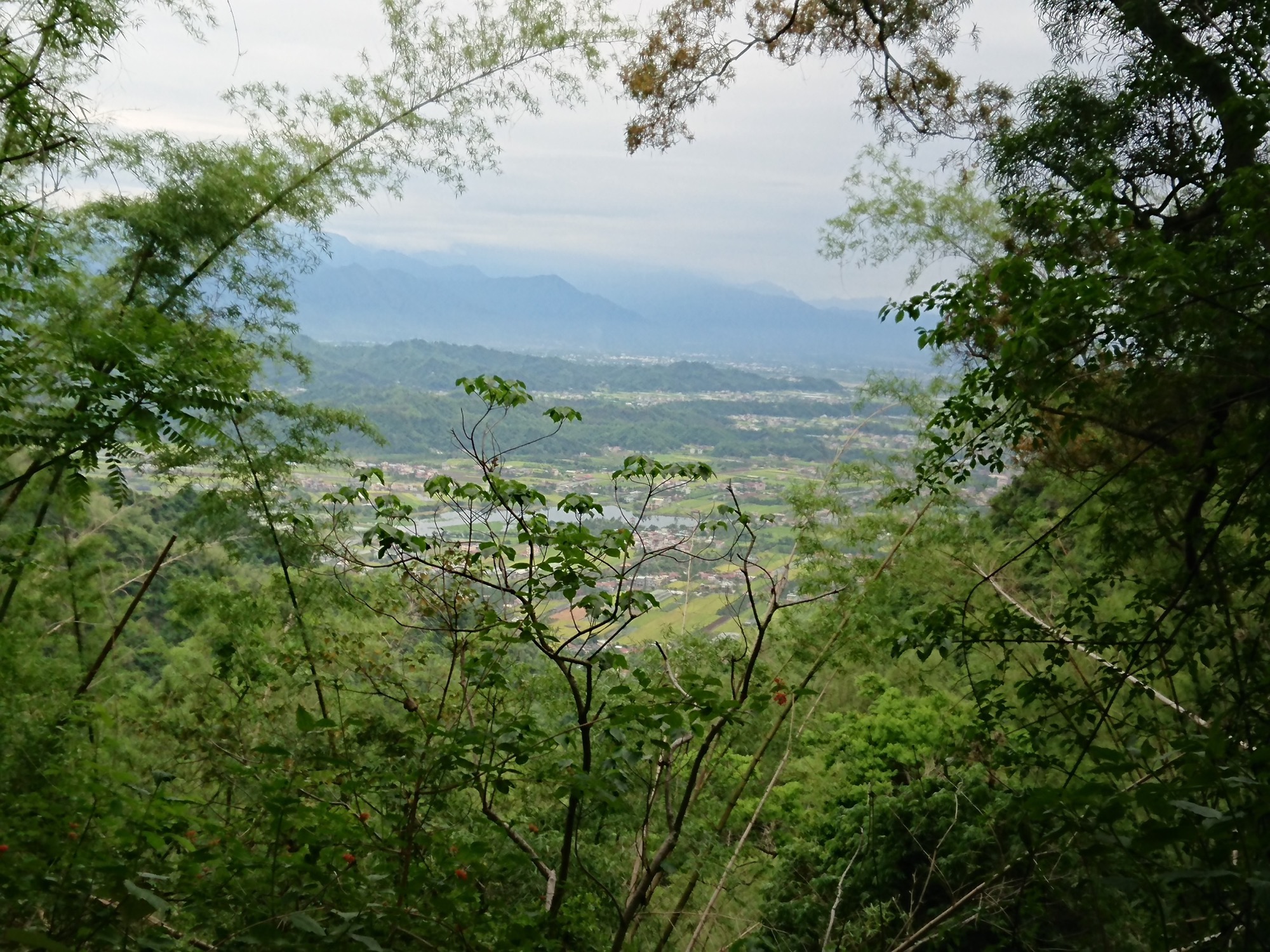 步道眺望美濃區