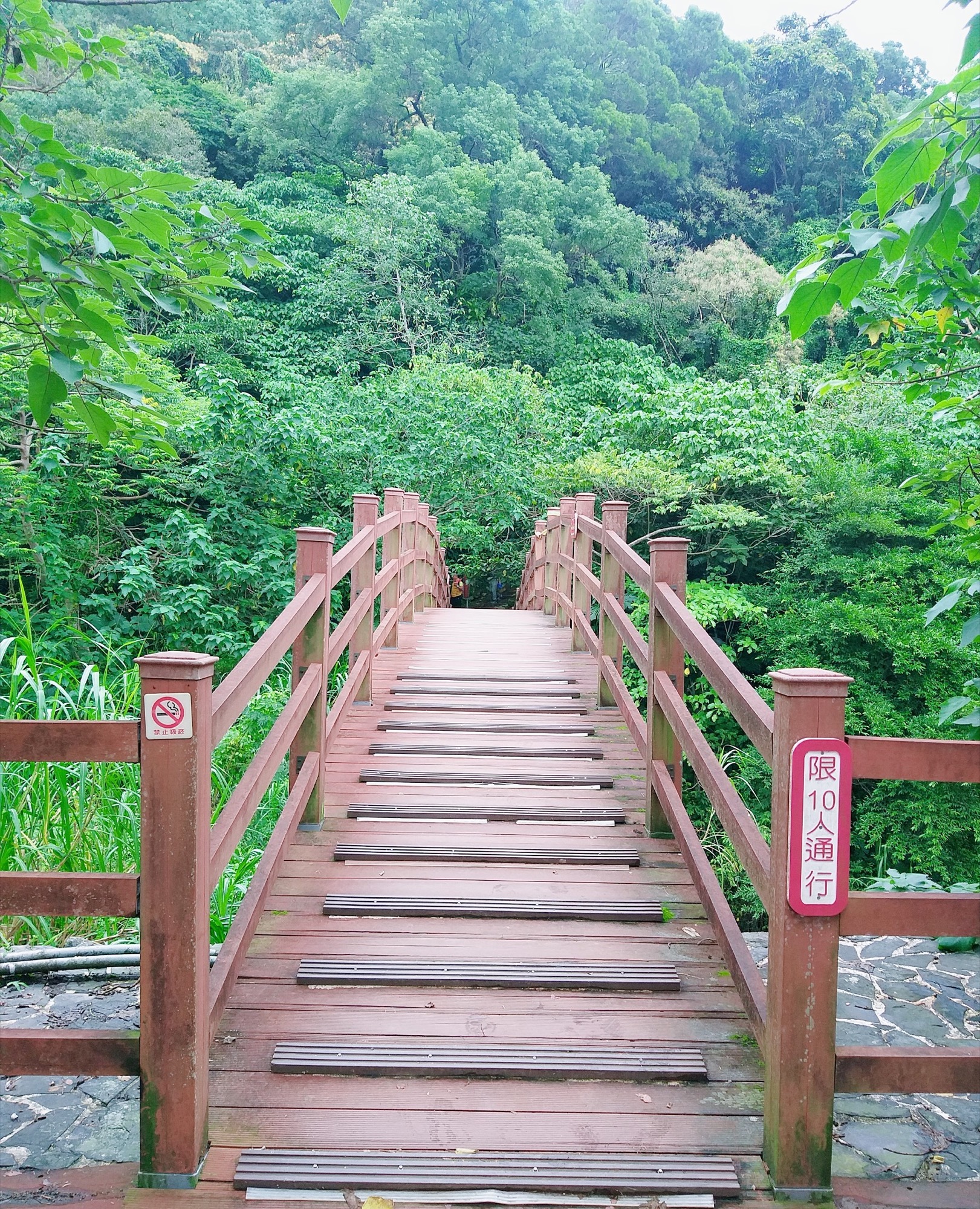 撒固兒步道入口棧橋