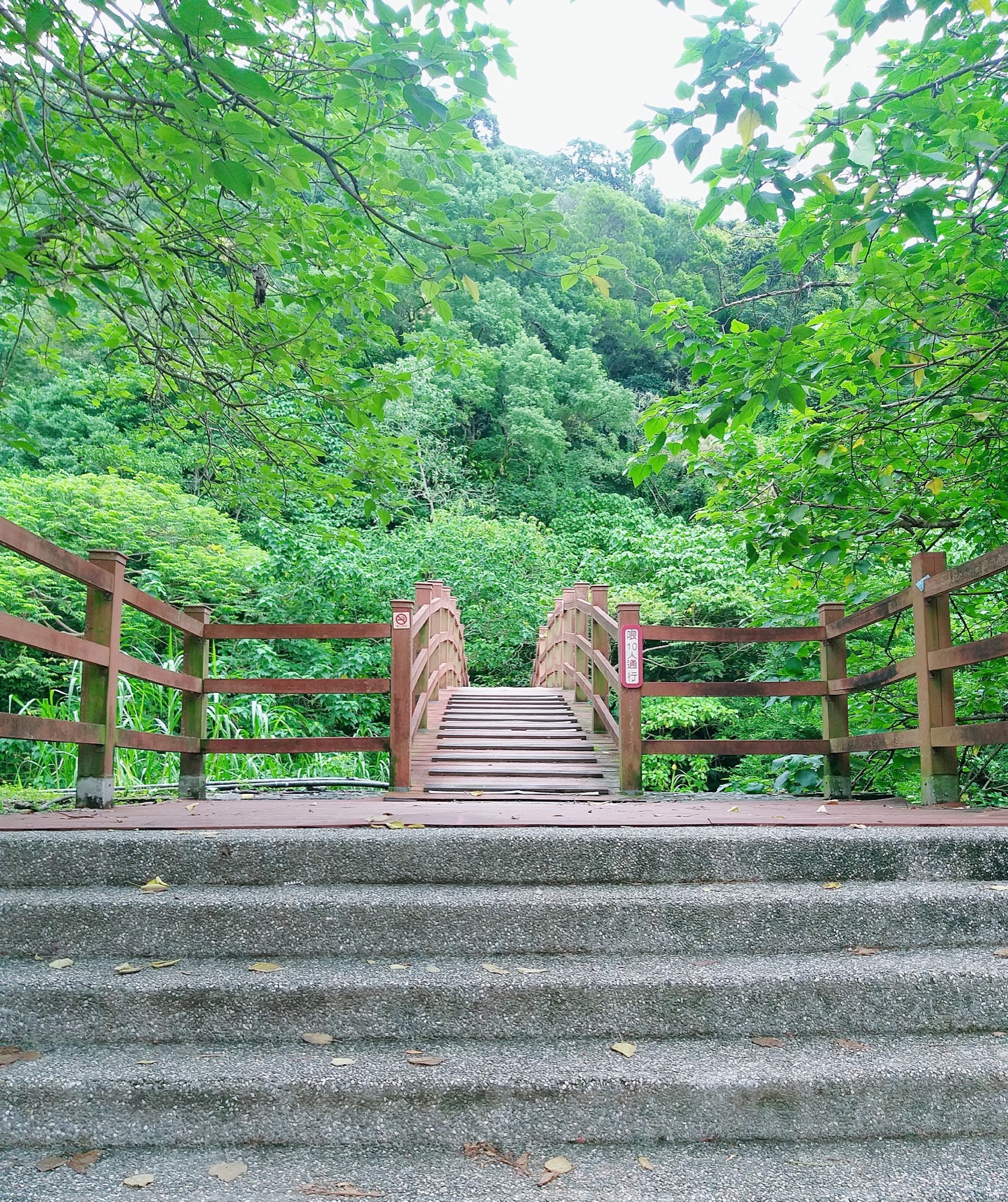 撒固兒步道入口棧橋