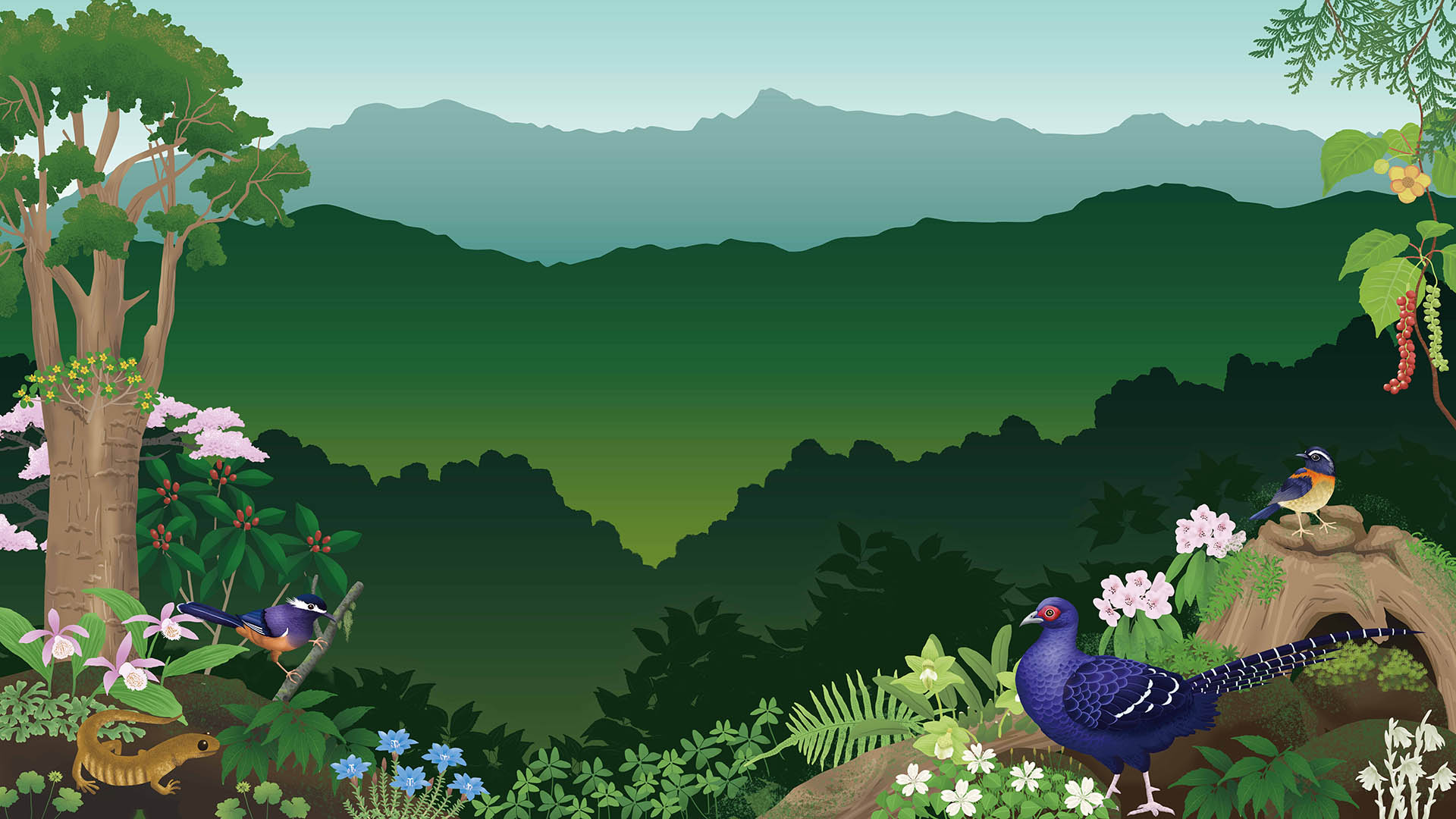 森林生態旅遊導覽人員認證